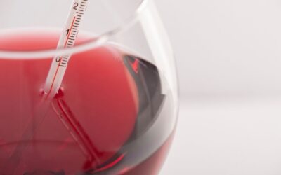 La importancia de la refrigeración en el sector vinícola
