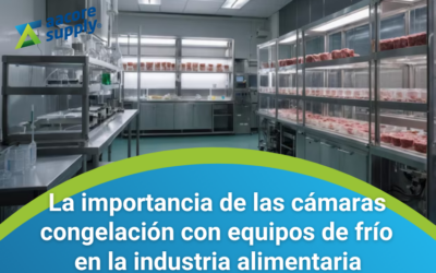 La importancia de las cámaras de congelación con equipos de frío en la industria alimentaria